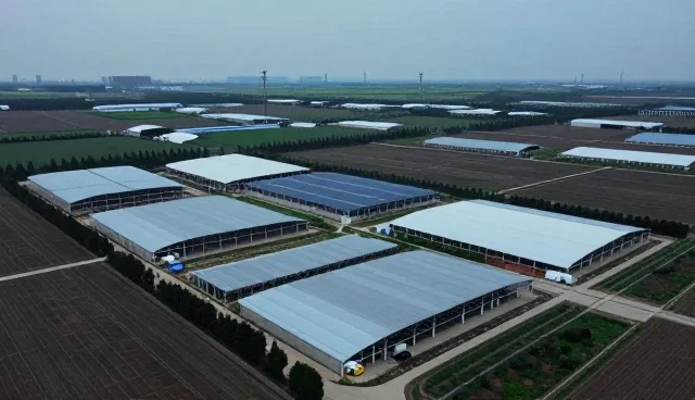 如何通过全流程跟进实现项目高效落地